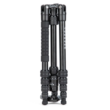 X-go Gecko E 2