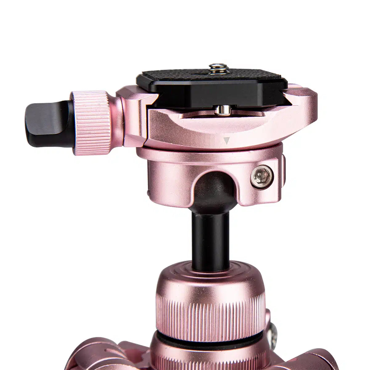 Free-1 Compact Tripod