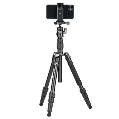 X-go Gecko E 2
