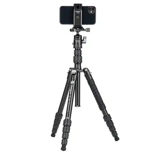 X-go Gecko E 2