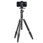 X-go Gecko E 2