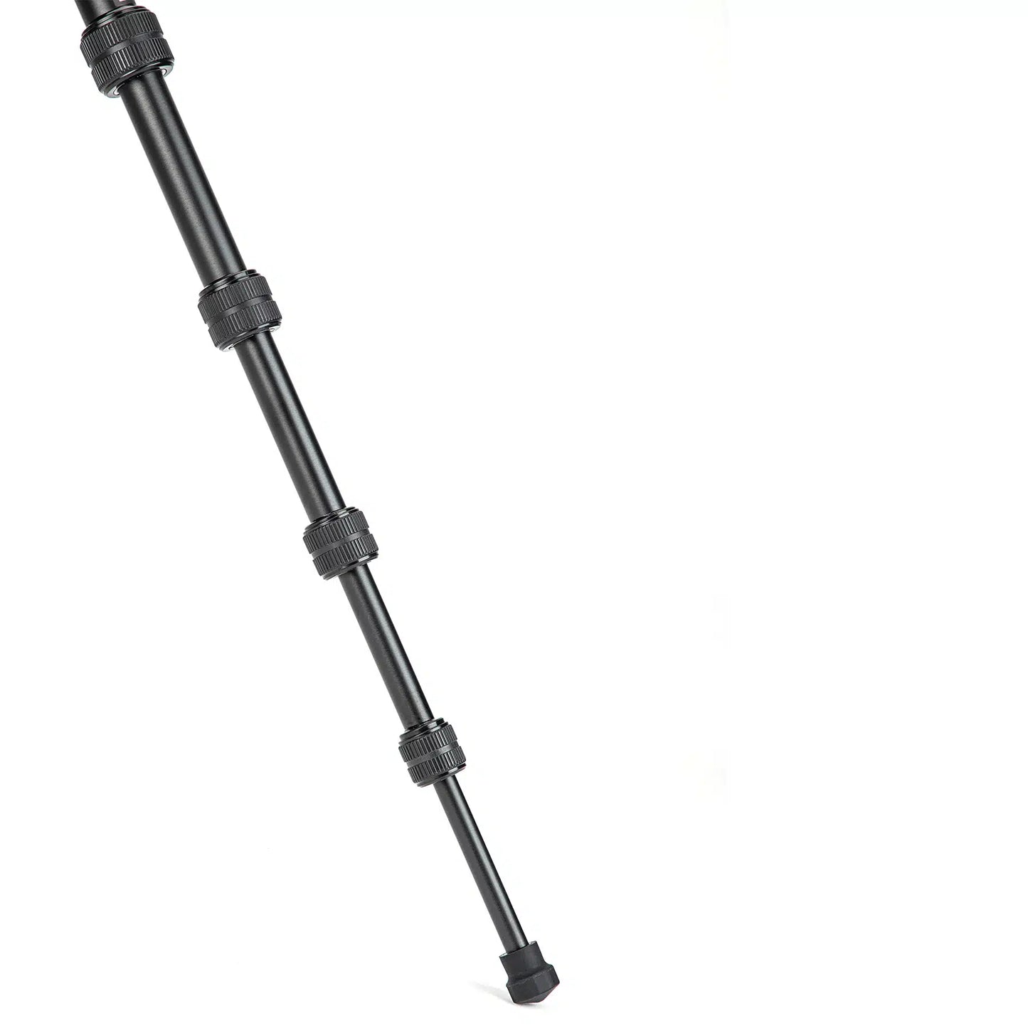 X-go Gecko E 2