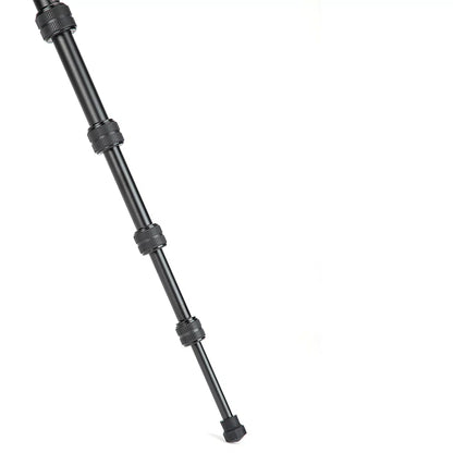 X-go Gecko E 2