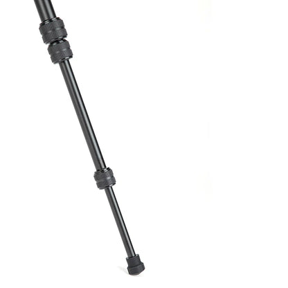 X-go Gecko E 2