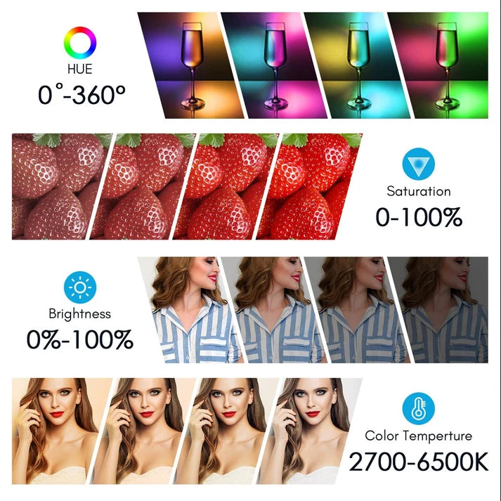 Palm Light PL-100RGB Video Light